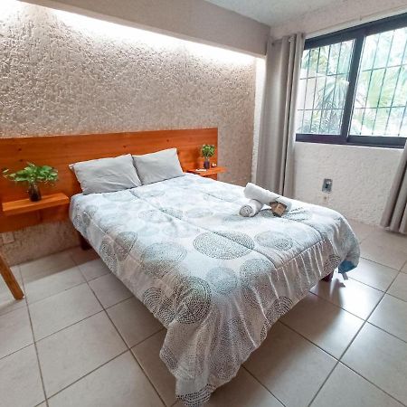 Hostal Casa Maria קנקון מראה חיצוני תמונה