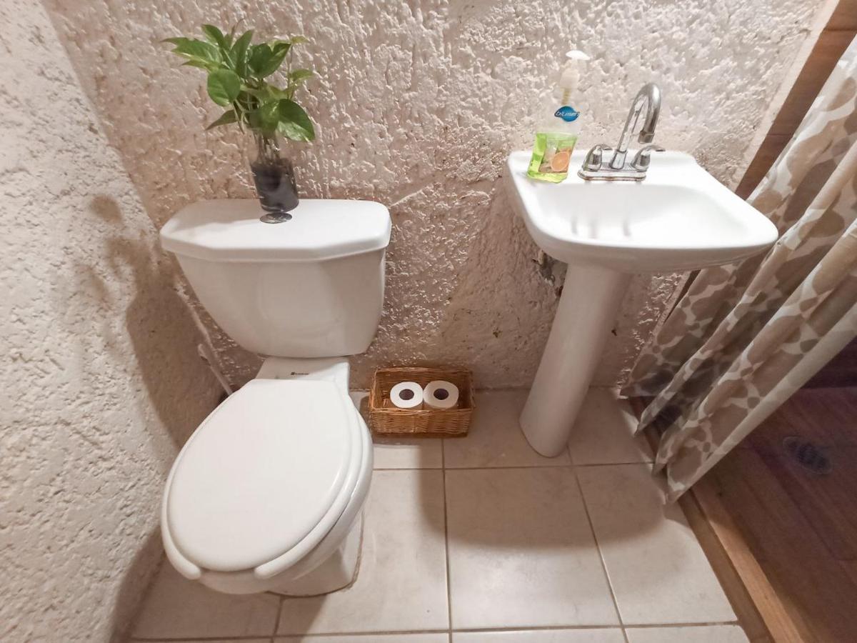 Hostal Casa Maria קנקון מראה חיצוני תמונה